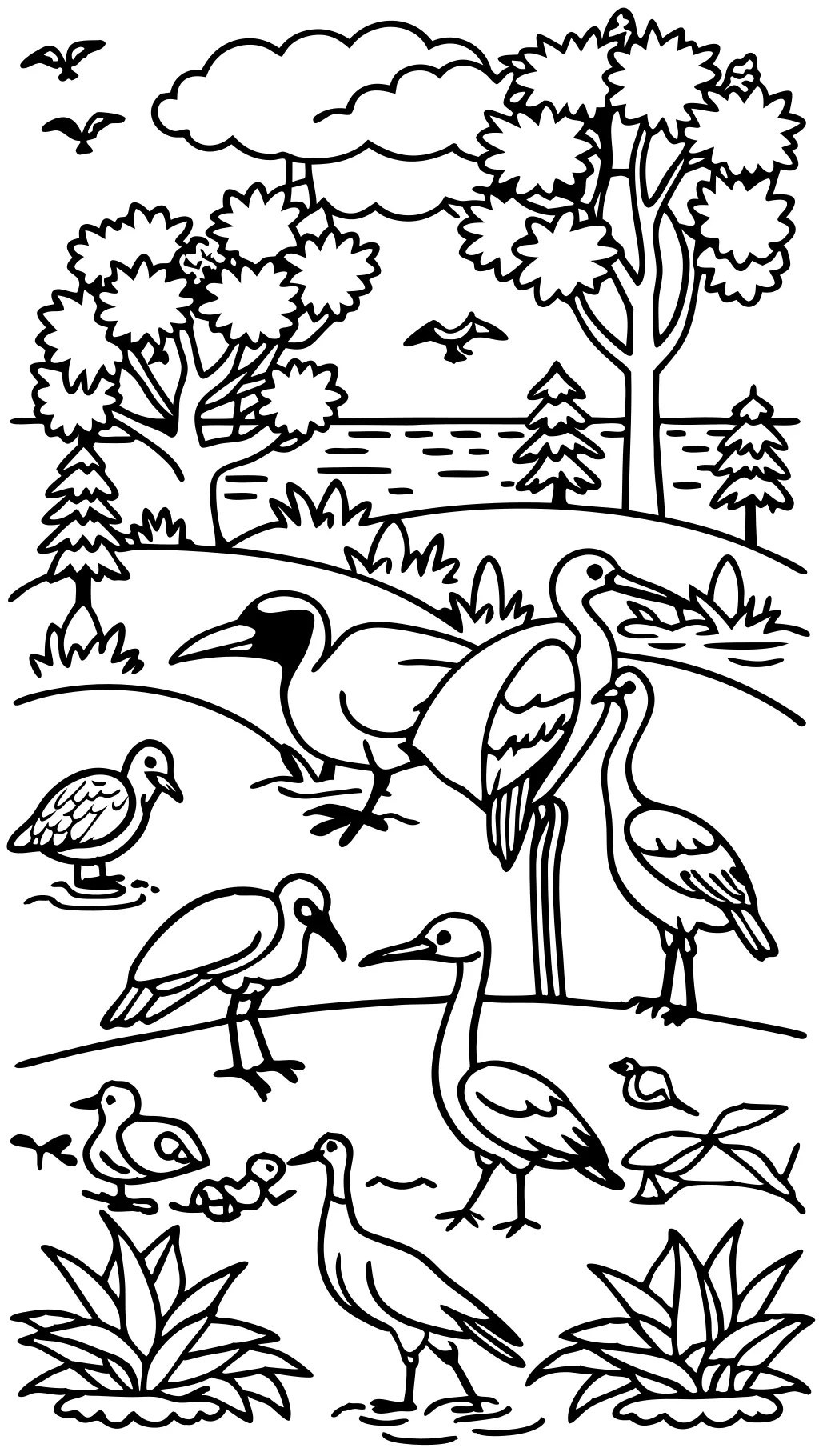 birds coloring page